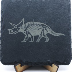Triceratops Dinosaurier...