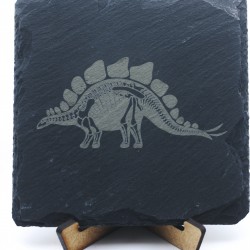 Stegosaurus Dinosaurier...
