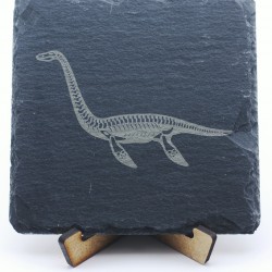 Plesiosaurus Dinosaurier...