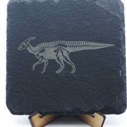 Parasaurus Fossil...