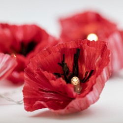 Roter Mohn Lichterkette