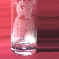 verre à eau marmotte