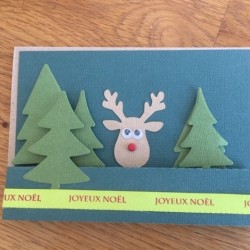 Reindeer Greeting Cards