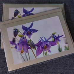 Schöne Fotokarten mit...