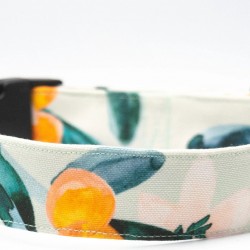 Halsband Canvas "Clementine"